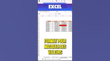 Excel : Cachez vos données en 1 Clic 🪄