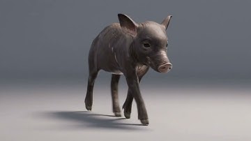 Automation of Creature FX in a Small Studio Pipeline | Bacon X | FMX HIVE 2022