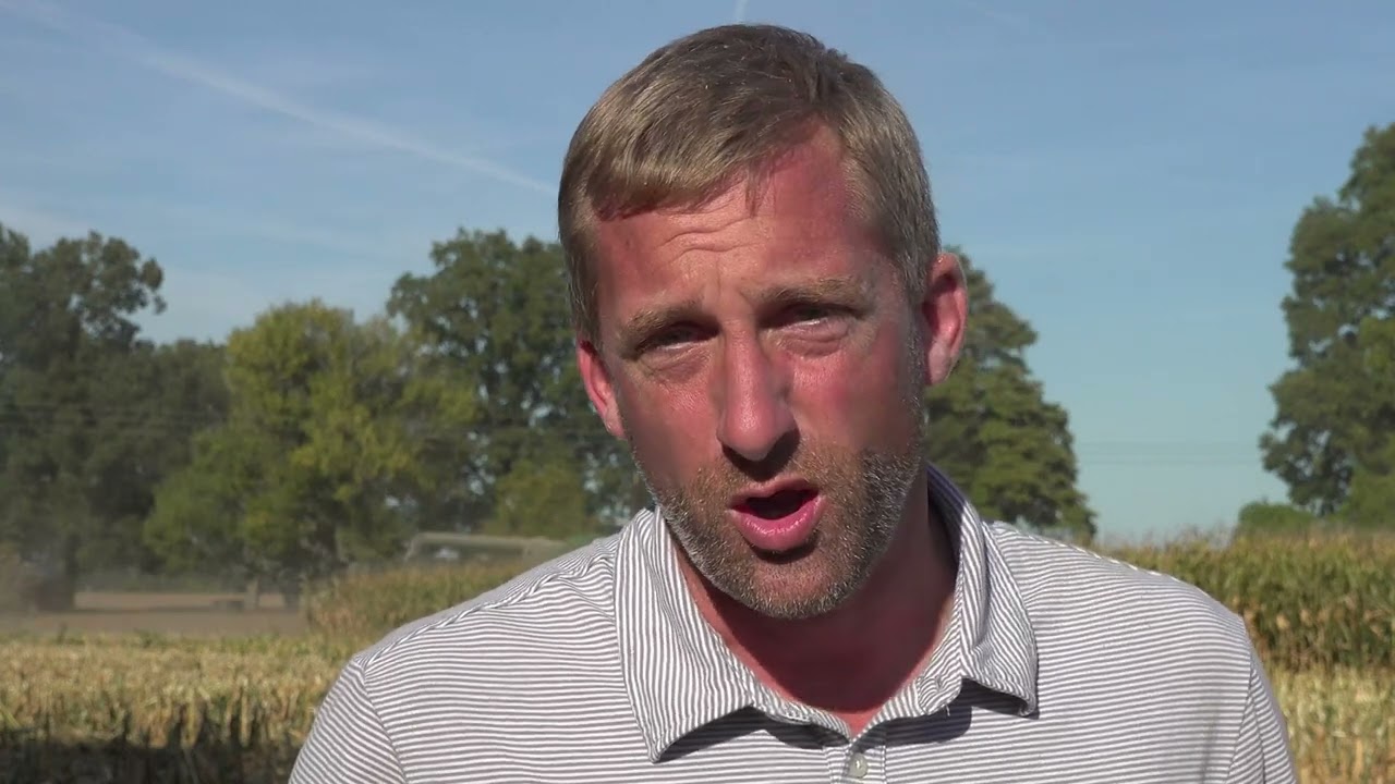Corn and Soybean Harvest