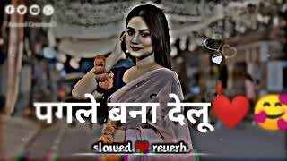 PAGLE BANA DELU (Song) |Pramod Premi | Vicky Vox |Priya Raghuvanshi | BhojpuriRomantic Song 2026