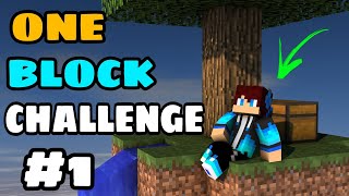 ONE BLOCK CHALLENGE | #1 #oneblockchallenge