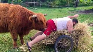 Try Not To Laugh 😂 Farm Animals Being Absolutely Ridiculous |  Funny Animals Videos
