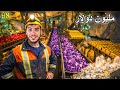التنقيب عن المعادن 8 ربحت مليون دولار من الجواهر الثمينة MineMogul