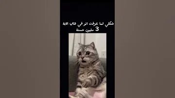 الدال على الخير كفاعله العراق لايك اشتراك القرآن الكريم 