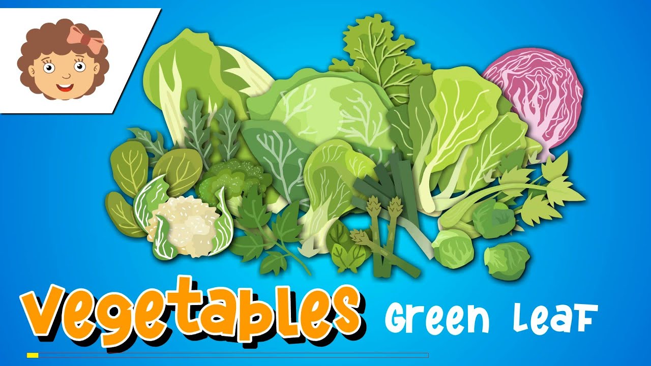 Cartoon 16 Type of Vegetables Green Leaf HQ Green Screen Free to