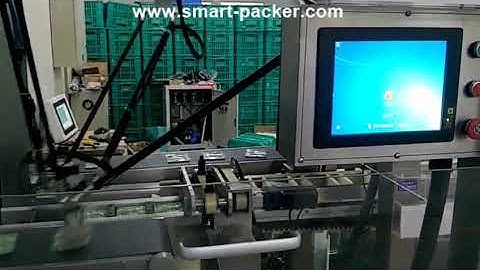 Spider type robot hands high speed bag sorting picking feeding for cartoning machine encasing line
