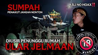 SNAKE INCARNATION😱 JOWO DEPOT - NGANJUK