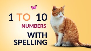 Spell the Numbers 0-10 I Number names |  Learn Numbers |#numbernameEducationalVideos