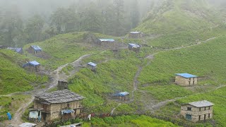 Financially Poor but Naturally Very Rich & Happy Mountain Village Life || Rainy Season Compilation