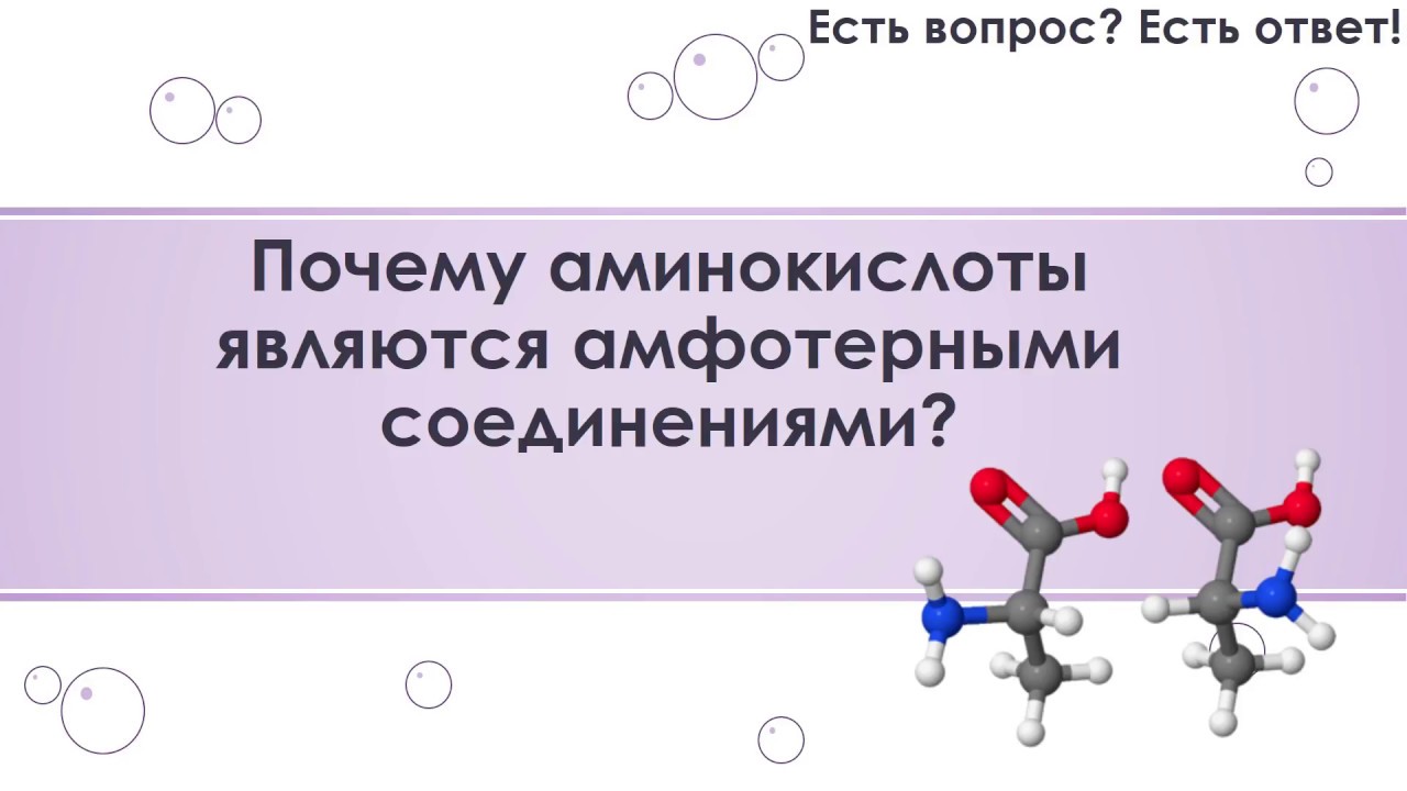 Почему аминокислоты амфотерные. Аминокислоты амфотерные соединения. Аминокислоты амфотерные органические соединения. Почему аминокислоты являются амфотерными соединениями. Почему аминокислоты амфотерные соединения.