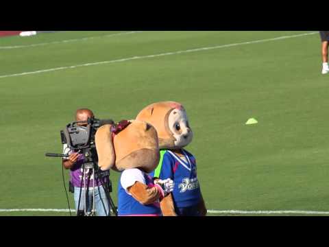 20150928　ヴォルタくんとティスちゃん