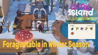 Foraging in Winter Season Locations CORA ISLAND