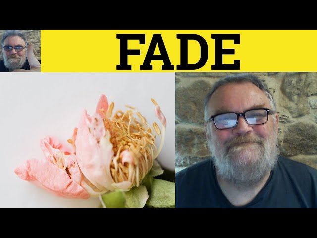🔵 Fade Meaning - Fade Examples - Fade In Fade Out Fade Away - Defined - Fade class=
