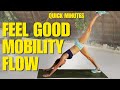 My Full Body Mobility Routine for Women Over 40 | Daily Stretching &amp; Flexibility Workout