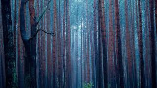 Aes Dana - Resin Overspring Edit