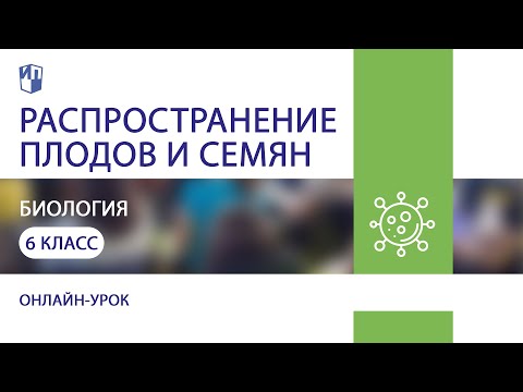 Биология. Распространение плодов и семян