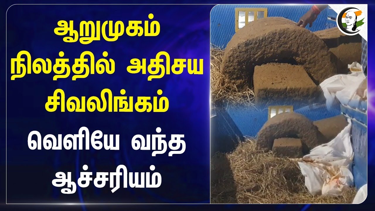 'ஆறுமுகம்' நிலத்தில் ஒன்றரை டன் சிவலிங்கம்! வெளியே வந்த அதிசயம் | Pudukkottai