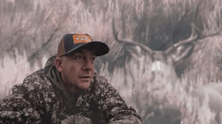 Late Archery Mule Deer Hunt Washington State 2025