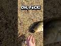 Colin slammed another winter monster!! #fishspecies #bass #bassfishing #fishing #fishingvideo