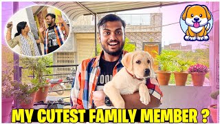 My New Family Member 😍 But Mummy Manna Karahi Hai Dog lense 😔