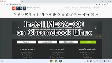 Install MEGA-CC on Chromebook Linux