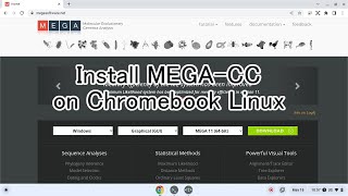 Install MEGA-CC on Chromebook Linux screenshot 4