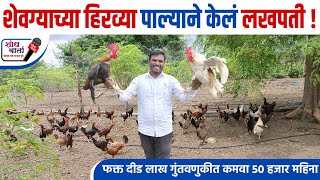 शेवग्याच्या हिरव्या पाल्याने केलं लखपती | गावरान कोंबडी पालन | Gavaran kombadi palan | शोध वार्ता |