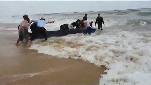 Giải cứu cá voi mắc cạn tại cửa biển Tư Hiền Thừa Thiên Huế