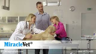 Miracle Vet Weight Gainer For Dogs & Cats