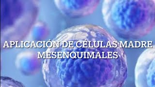 Juan Manuel Ortega Van Beusekom-36