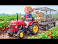 Monkey Farmer Drives Tractor to Harvest Strawberries &amp; Captures a Giant Crocodile in WILD CHAOS!