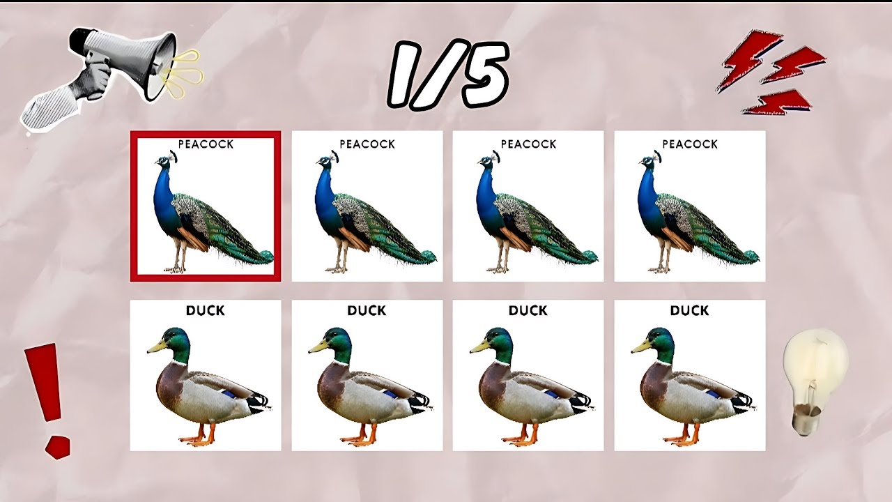 Say The Word On Beat (Birds Challenge ) level (1-3)