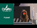 Flyball Semi-Finals &amp; Final Part 3 | Crufts 2023