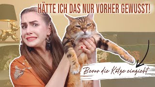 Top 10 things you should know BEFORE you adopt a cat / Cat Facts