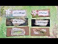 Junk Journal How to Make Junk Journal Cover Book Plates or Placards! DIY Tutorial The Paper Outpost!