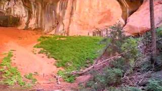 Double Arch Alcove on the Taylor Creek Trail Kolob Canyon Utah