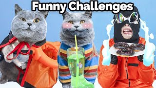The Latest Fun Challenges Are Waiting For You!| Oscar‘s Funny World | New Funny Videos 2023