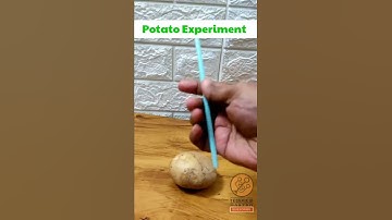 🥔 Potato Experiment 😄 | Science Experiment | #Shorts#yt#scienceexperiment
