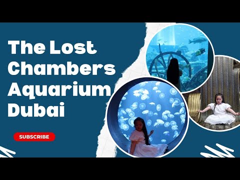 The Aquatic Wonderland  | Lost Chambers Aquarium Dubai