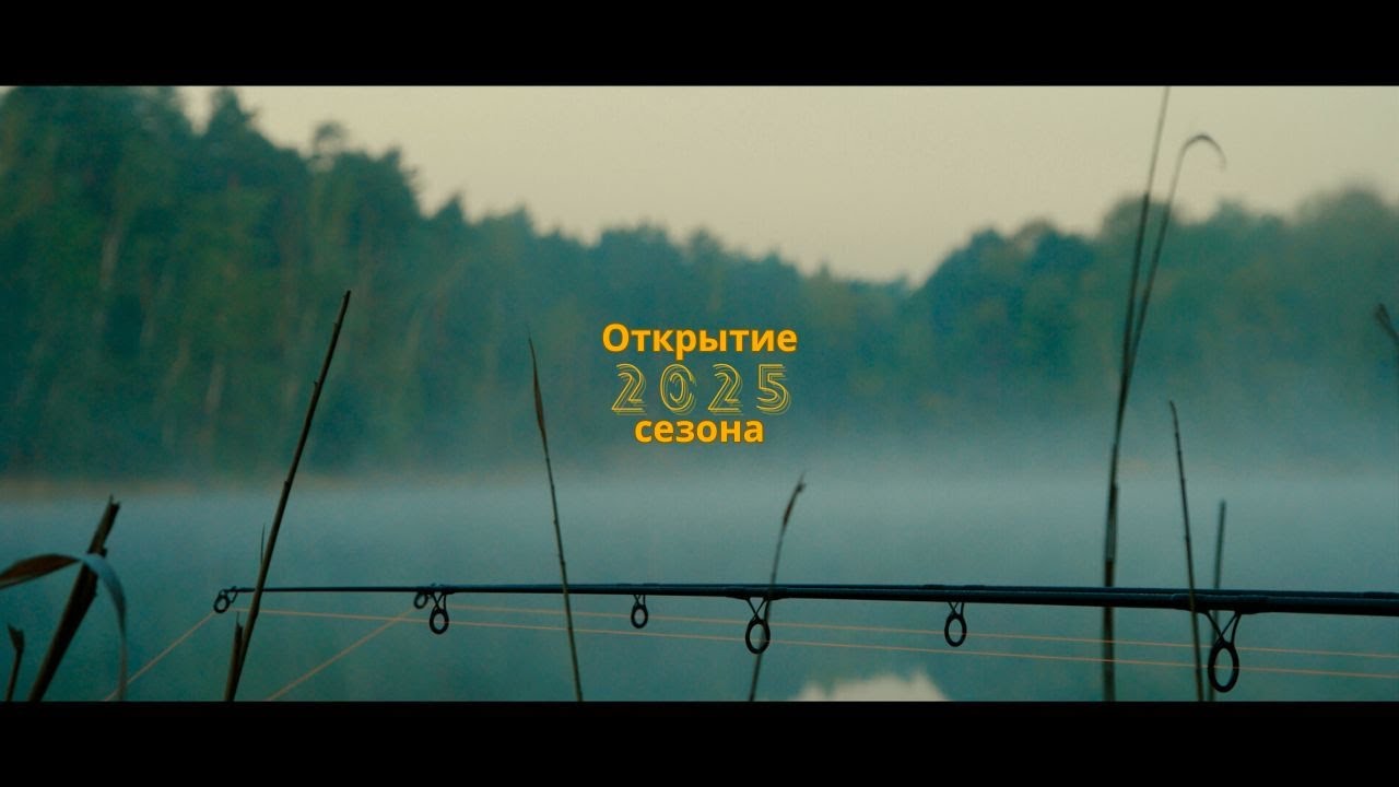 Простая рыбалка на карпа | Carpfishing Открытие сезона 2025