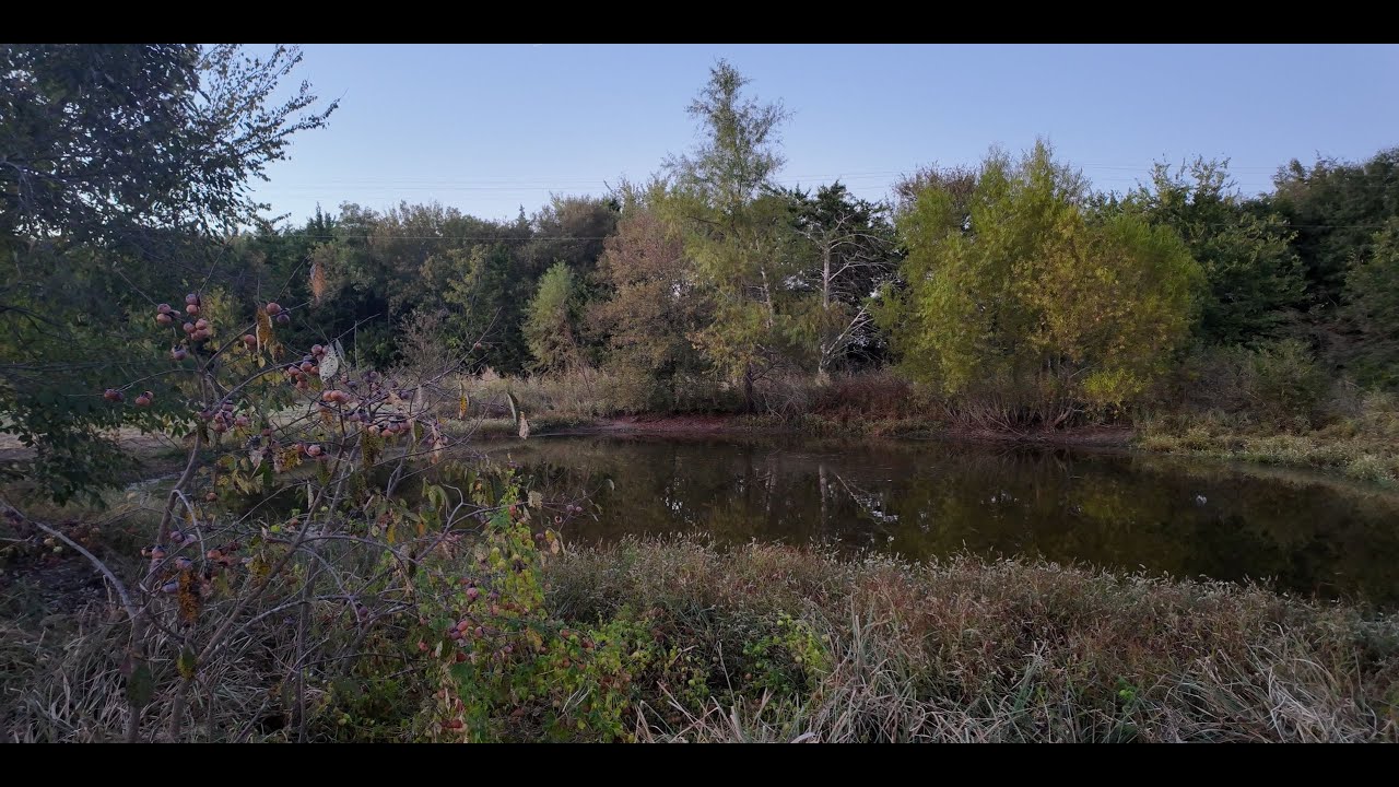 Ideas for building a boat for the pond to feed the turtles and fish...