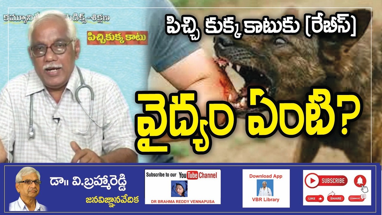 పిచ్చి కుక్క గాటు (రేబీస్ )-డాక్టర్ సి ఏ ప్రసాద్#jvv #vbr #brahmareddy #popular vydyam