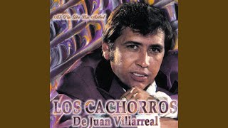 Video thumbnail of "Los Cachorros De Juan Villarreal - Me Voy Me Voy"