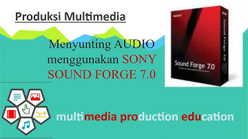 Sony Sound Forge 7 0 - Audio basic editing