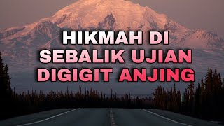 RAHASIA TAKDIR | SYEKH ALI JABER