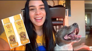 Burt's Bees Oatmeal Dog Shampoo... Do We Stan