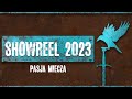 STUNT SHOWREEL 2023 | Pasja Miecza