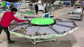 Small sorting grading machine for passion fruit circular grader by weight stone fruit sorter