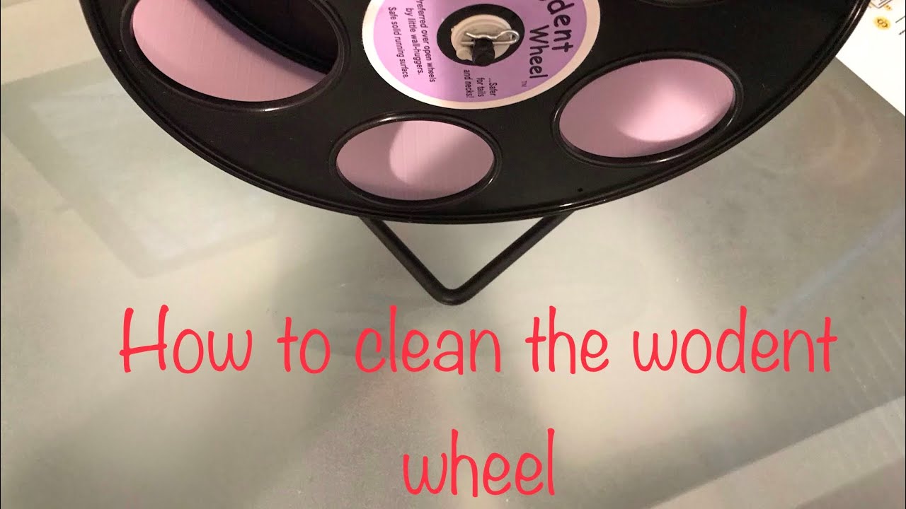 How to disassemble, clean, and reassemble the wodent wheel