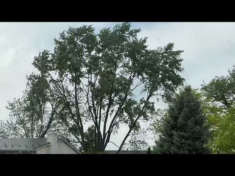 Wind gusts at Elk Grove village Chicago, Illinois ￼